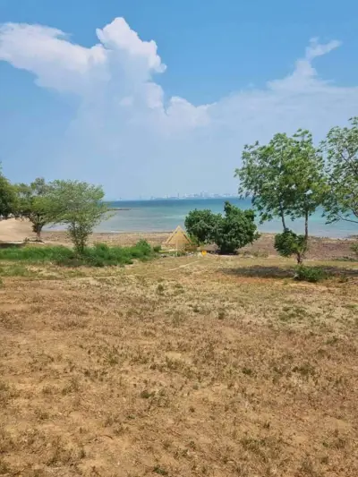 ขาย ที่ดิน 15 ไร่ เกาะล้านพัทยา - ที่ดิน - Koh Larn - 