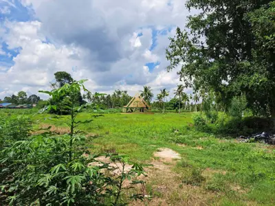 ขายที่ดิน 15 ไร่ ห้วยใหญ่ - ที่ดิน - ห้วยใหญ่ - 