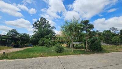 Land for Sale 100 Sqw Nong Pla Lai - Land - Nong Pla Lai - 