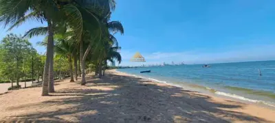 ขายที่ดิน หาดกระทิงลาย พัทยาเหนือ - ที่ดิน - พัทยา-เหนือ - 