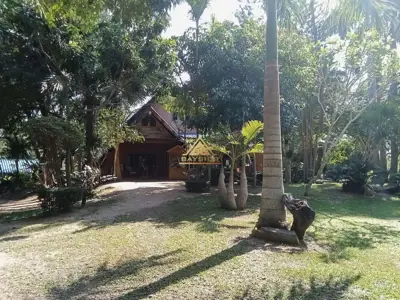 ขายที่ดิน บ้านสวน นาจอมเทียน ฟรีค่าโอนและภาษี!!! - ที่ดิน - Na Jomtien  - 