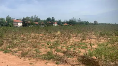 ขายที่ดิน 15 ไร่ หนองปรือ - ที่ดิน - Nongprue - 