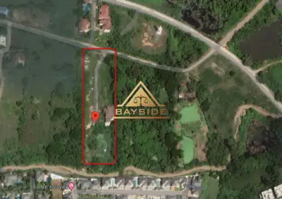 ขายที่ดินชากนกใกล้สนามกอล์ฟฟีนิกซ์โกลด์ - ที่ดิน - Wat Yannasangwararam - 